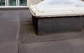disadvantages of Lower Rea flat roofs