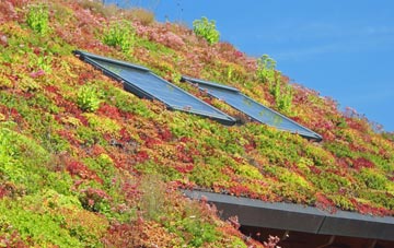 Lower Rea living roof systems