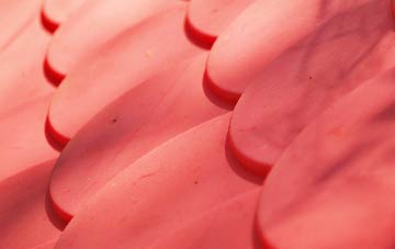 Lower Rea plastic roof costs