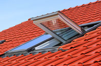 Lower Rea roof window