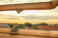 rated Lower Rea roof window companies